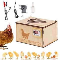 Mogoulua egg incubator for sale  Delivered anywhere in UK
