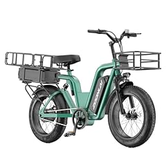 Zoonlai electric ebikes for sale  Delivered anywhere in USA 