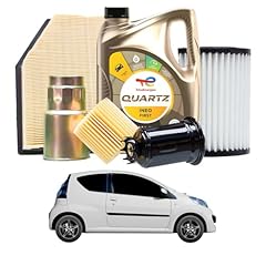 Tagliando per citroën usato  Spedito ovunque in Italia 