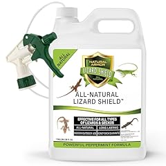 Natural armor lizard for sale  Delivered anywhere in USA 