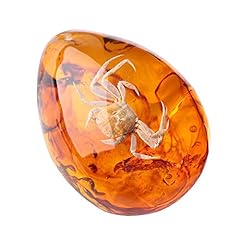 Queenbox resin amber for sale  Delivered anywhere in USA 