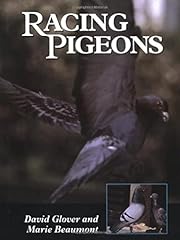 Racing pigeons for sale  Delivered anywhere in UK
