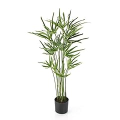 Artplants.de pianta papiro usato  Spedito ovunque in Italia 