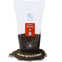 Mushroomsupplies.com one mushr for sale  Delivered anywhere in USA 