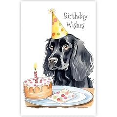 Black cocker spaniel for sale  Delivered anywhere in UK
