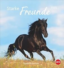 Pferde postkartenkalender 2025 gebraucht kaufen  Wird an jeden Ort in Deutschland