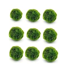 Live moss balls for sale  Delivered anywhere in USA 