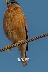 Taccuino gracula religiosa usato  Spedito ovunque in Italia 