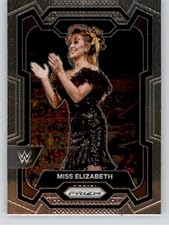 2024 panini prizm for sale  Delivered anywhere in USA 