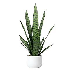 Artificial snake plant for sale  Delivered anywhere in USA 