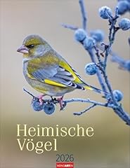 Heimische vögel kalender gebraucht kaufen  Wird an jeden Ort in Deutschland
