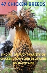 Chicken breeds finding for sale  Delivered anywhere in USA 