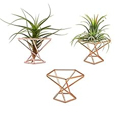Nwsrayu geometric air for sale  Delivered anywhere in USA 