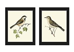 Bird prints wall for sale  Delivered anywhere in USA 