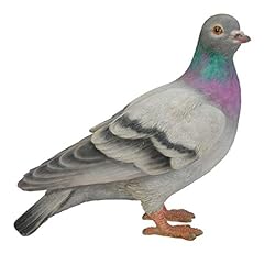 Vivid Arts- British Birds- Realistic Resin Pigeon Ornament, used for sale  Delivered anywhere in UK