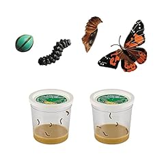 Two cups caterpillars for sale  Delivered anywhere in USA 