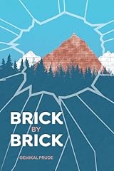 Brick brick for sale  Delivered anywhere in USA 