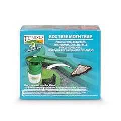 Topbuxus box tree for sale  Delivered anywhere in UK