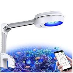 Popbloom rl60 wifi gebraucht kaufen  Wird an jeden Ort in Deutschland
