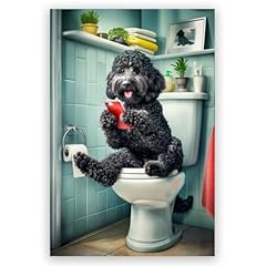 Jyscillate black cockapoo for sale  Delivered anywhere in USA 