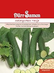 Salatgurken samen tanja gebraucht kaufen  Wird an jeden Ort in Deutschland