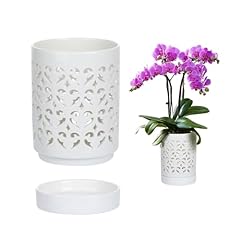 Mwellewm orchid pot for sale  Delivered anywhere in USA 