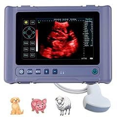 Ruisheng inch touch for sale  Delivered anywhere in USA 