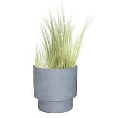 Fibre clay plant for sale  Delivered anywhere in UK