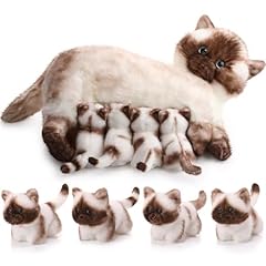 Skylety nurturing siamese for sale  Delivered anywhere in USA 