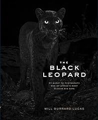 Black leopard quest for sale  Delivered anywhere in UK
