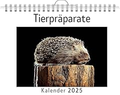 Tierpräparate gebraucht kaufen  Wird an jeden Ort in Deutschland