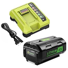 Energup 40volt 6500mah for sale  Delivered anywhere in USA 