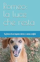 Romeo luce che usato  Spedito ovunque in Italia 