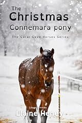 Christmas connemara pony for sale  Delivered anywhere in USA 
