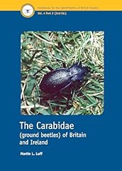 The carabidae britain usato  Spedito ovunque in Italia 