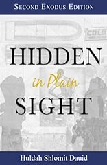 Hidden plain sight for sale  Delivered anywhere in USA 