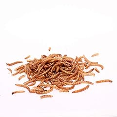 Superpet dried mealworms for sale  Delivered anywhere in Ireland