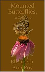 Mounted butterflies collection for sale  Delivered anywhere in UK