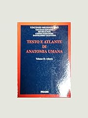 Testo atlante anatomia usato  Spedito ovunque in Italia 