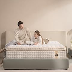 Queen mattress inch for sale  Delivered anywhere in USA 