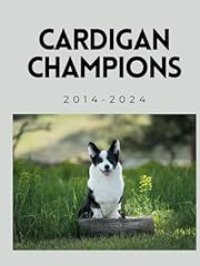 Cardigan welsh corgi for sale  Delivered anywhere in UK