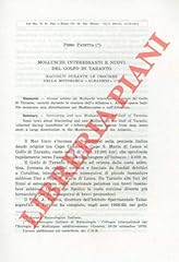 Molluschi interessanti nuovi usato  Spedito ovunque in Italia 
