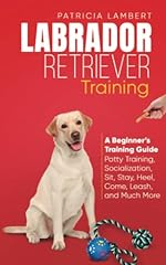 Labrador retriever training for sale  Delivered anywhere in USA 