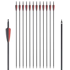 Toparchery pack zoll gebraucht kaufen  Wird an jeden Ort in Deutschland
