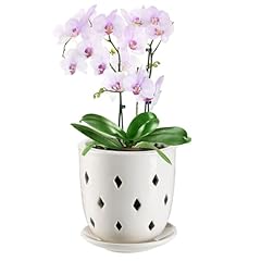 6in ceramic orchid for sale  Delivered anywhere in USA 