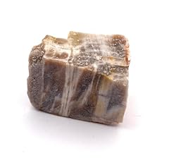 Petrified wood natural for sale  Delivered anywhere in UK