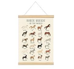 Xydeg horse decor for sale  Delivered anywhere in USA 
