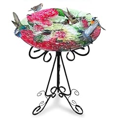 Ouisjyer large bird for sale  Delivered anywhere in USA 