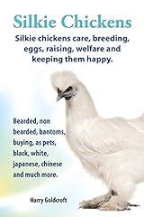 Silkie chickens. silkie for sale  Delivered anywhere in USA 