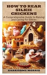 Rear silkie chickens for sale  Delivered anywhere in UK